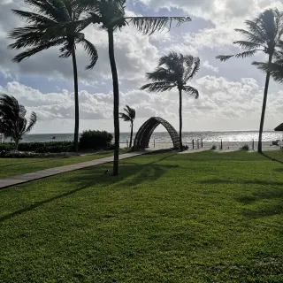 Garden wedding ceremony lawn with palm trees and a wooden arch at Hyatt Zilara Riviera Maya