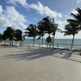 Lola Terrace at Hyatt Zilara Riviera Maya overlooking the ocean and palm trees