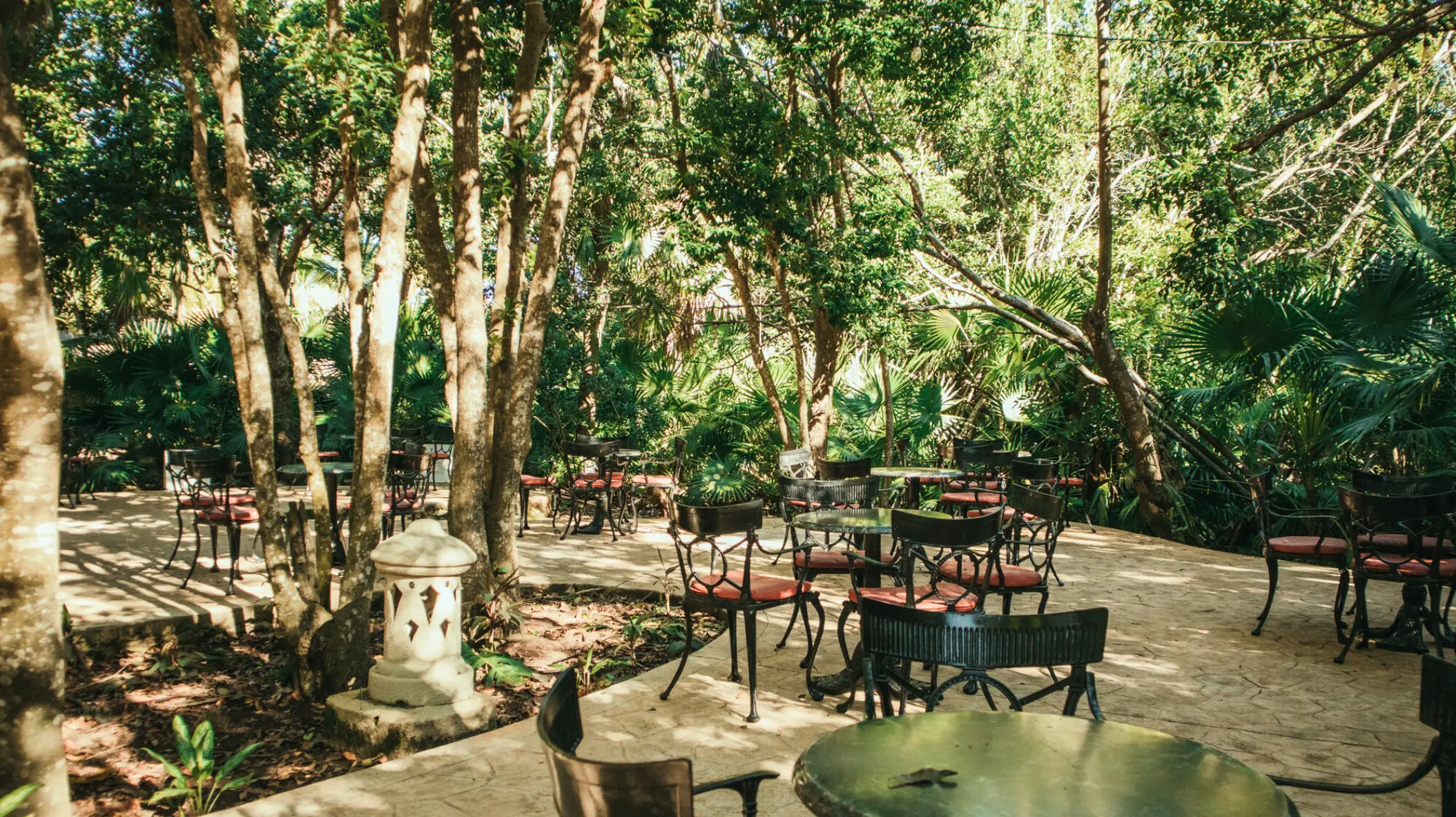 Outdoor dinner terrace surrounded by trees at Iberostar Paraiso Beach, Riviera Maya