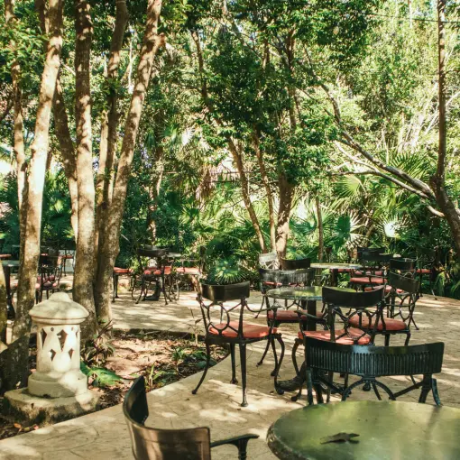 Outdoor dinner terrace surrounded by trees at Iberostar Paraiso Beach, Riviera Maya