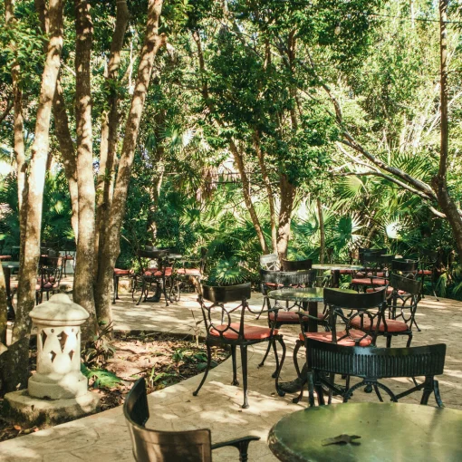 Iberostar Paraiso Beach outdoor jungle seating area