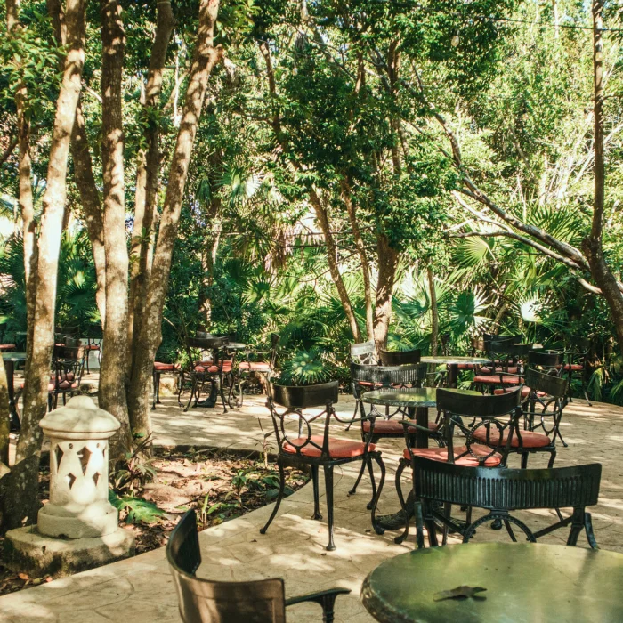 Iberostar Paraiso Beach outdoor jungle seating area