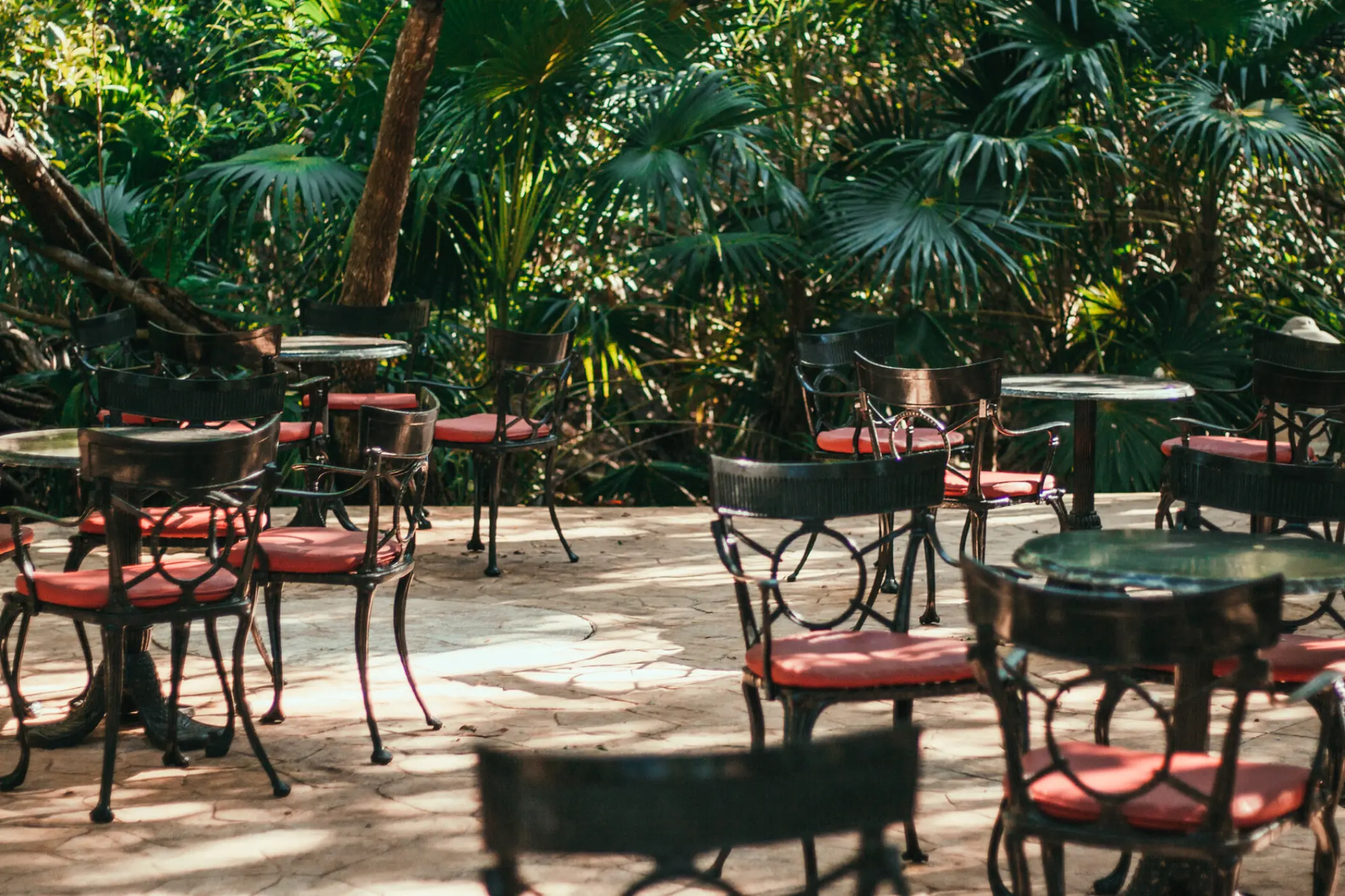 Outdoor cafe seating area surrounded by lush tropical greenery at Iberostar Paraiso Del Mar, Riviera Maya