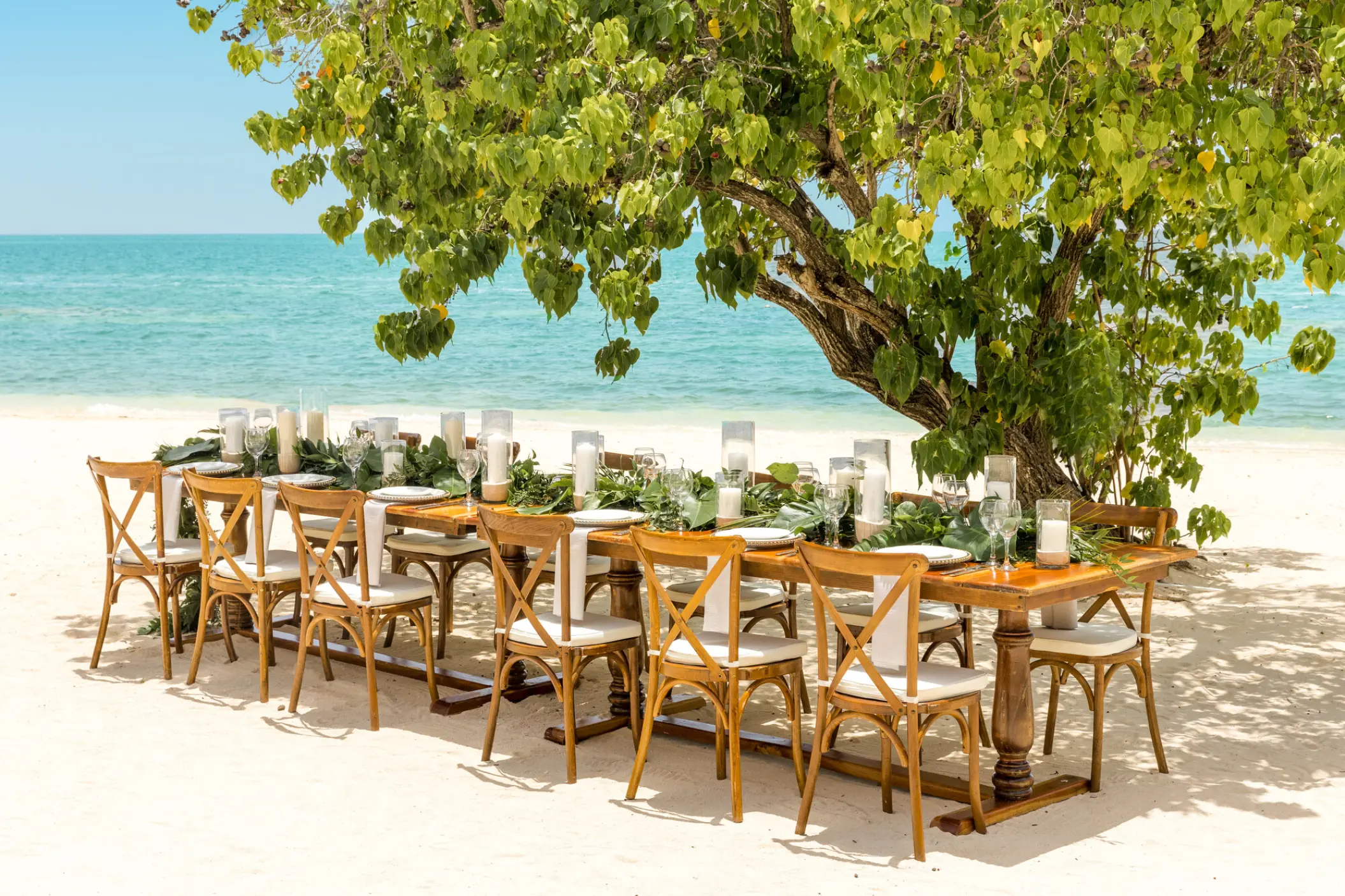 Beachfront wedding reception table under a tree at Iberostar Selection Cancun
