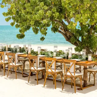 Beachfront wedding reception table under a tree at Iberostar Selection Cancun