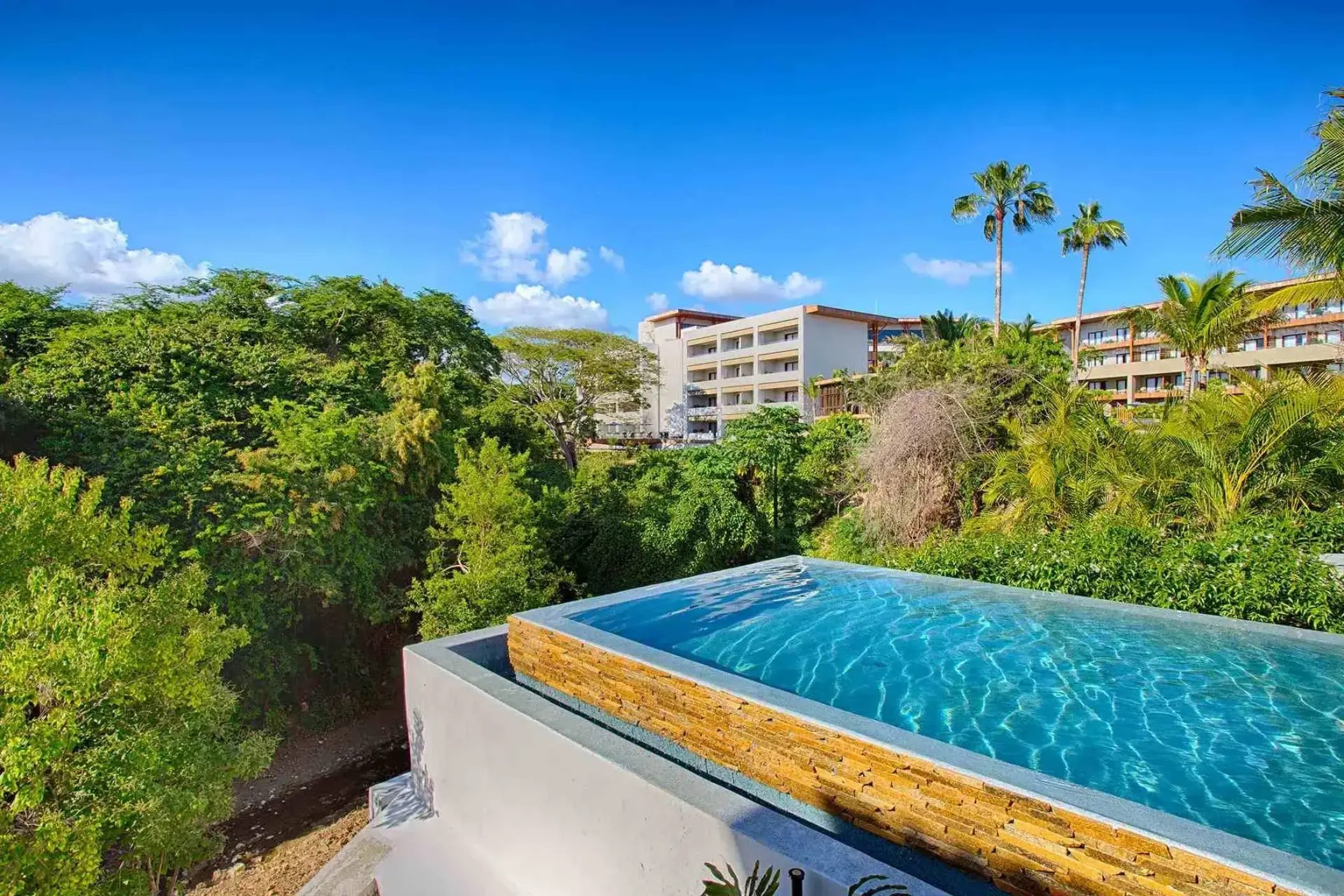 Private terrace plunge pool surrounded by tropical lush greenery at Armony Marival, Puerto Vallarta