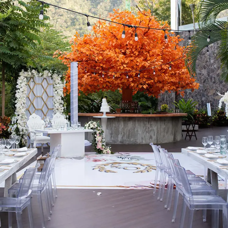 Wedding reception at Garza Blanca Puerto Vallarta with ghost chairs and an orange tree focal point