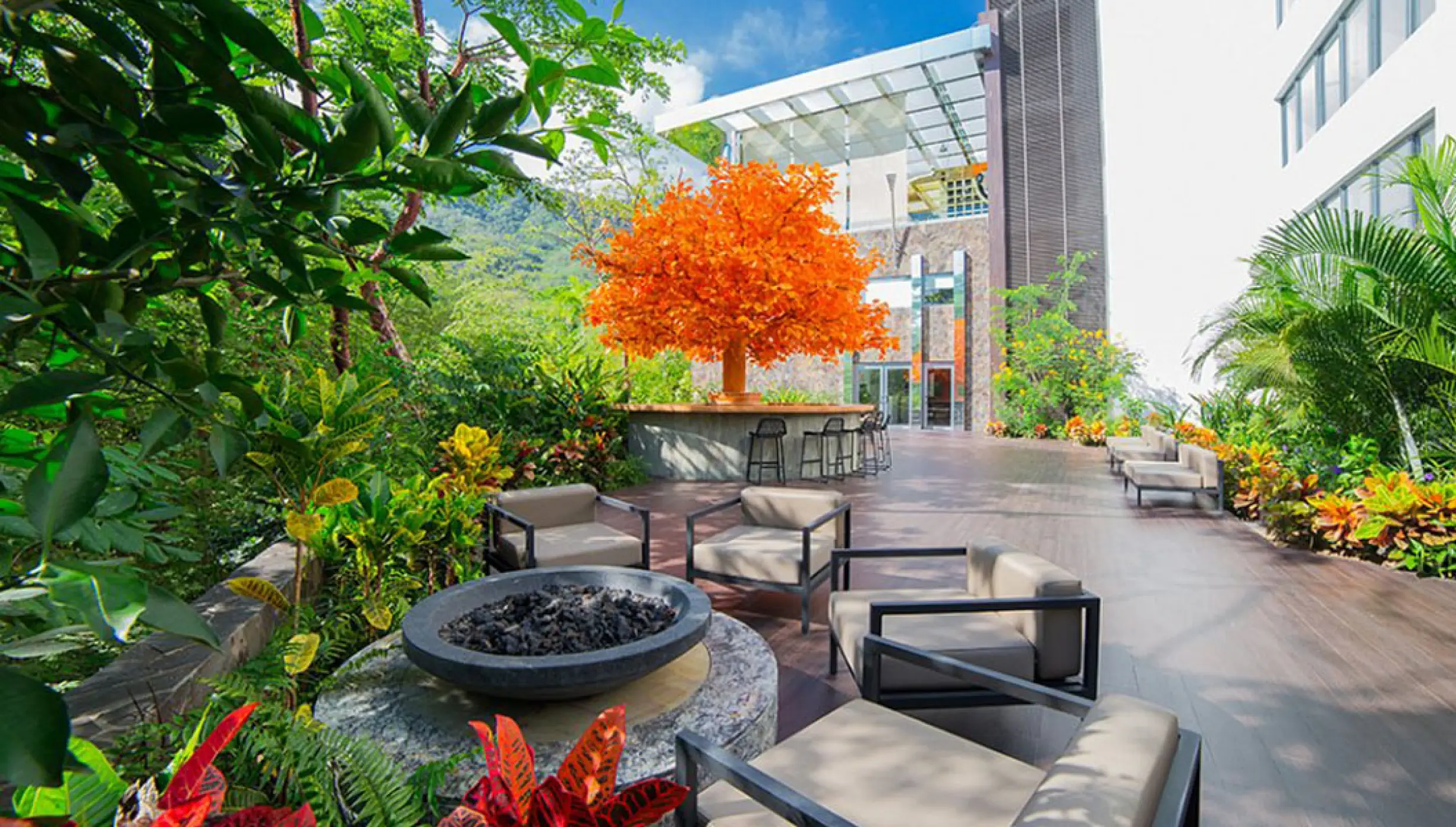 Orange tree feature on the terrace lounge at Garza Blanca Puerto Vallarta