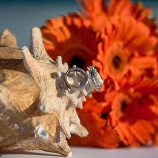 Wedding bands on a shell close-up.