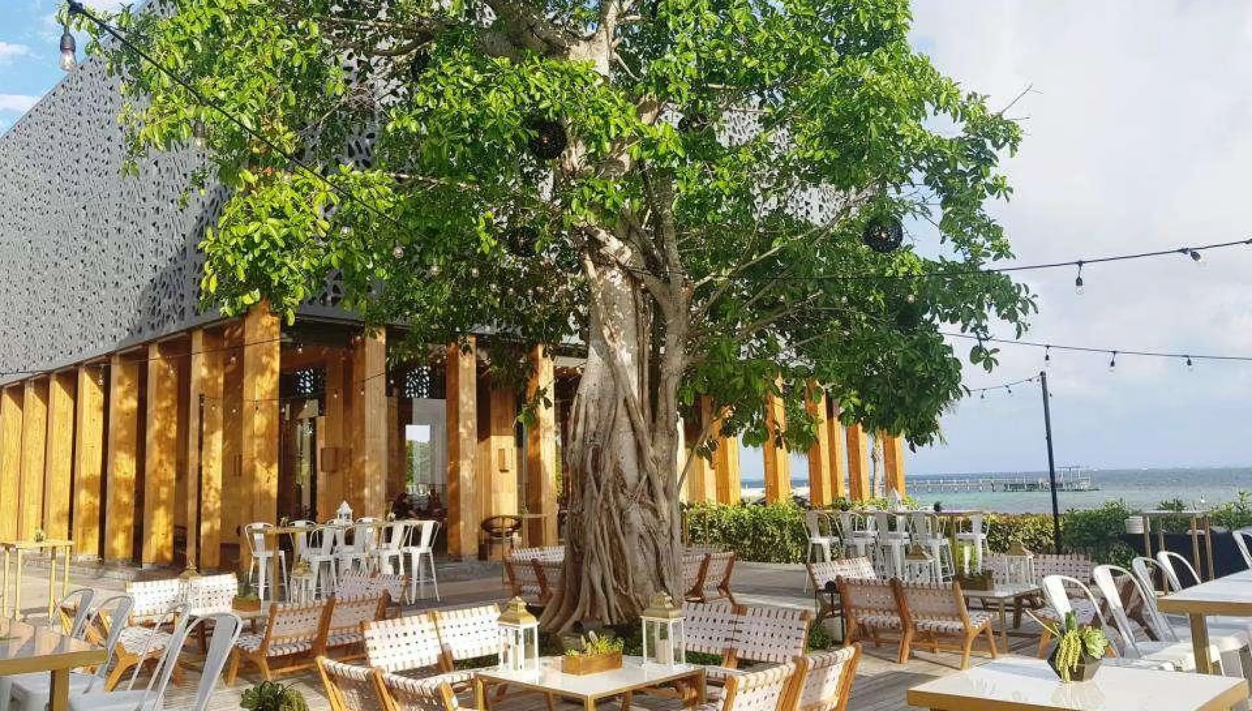 Akan Terrace reception venue under a large tree at Nizuc Resort, Cancun