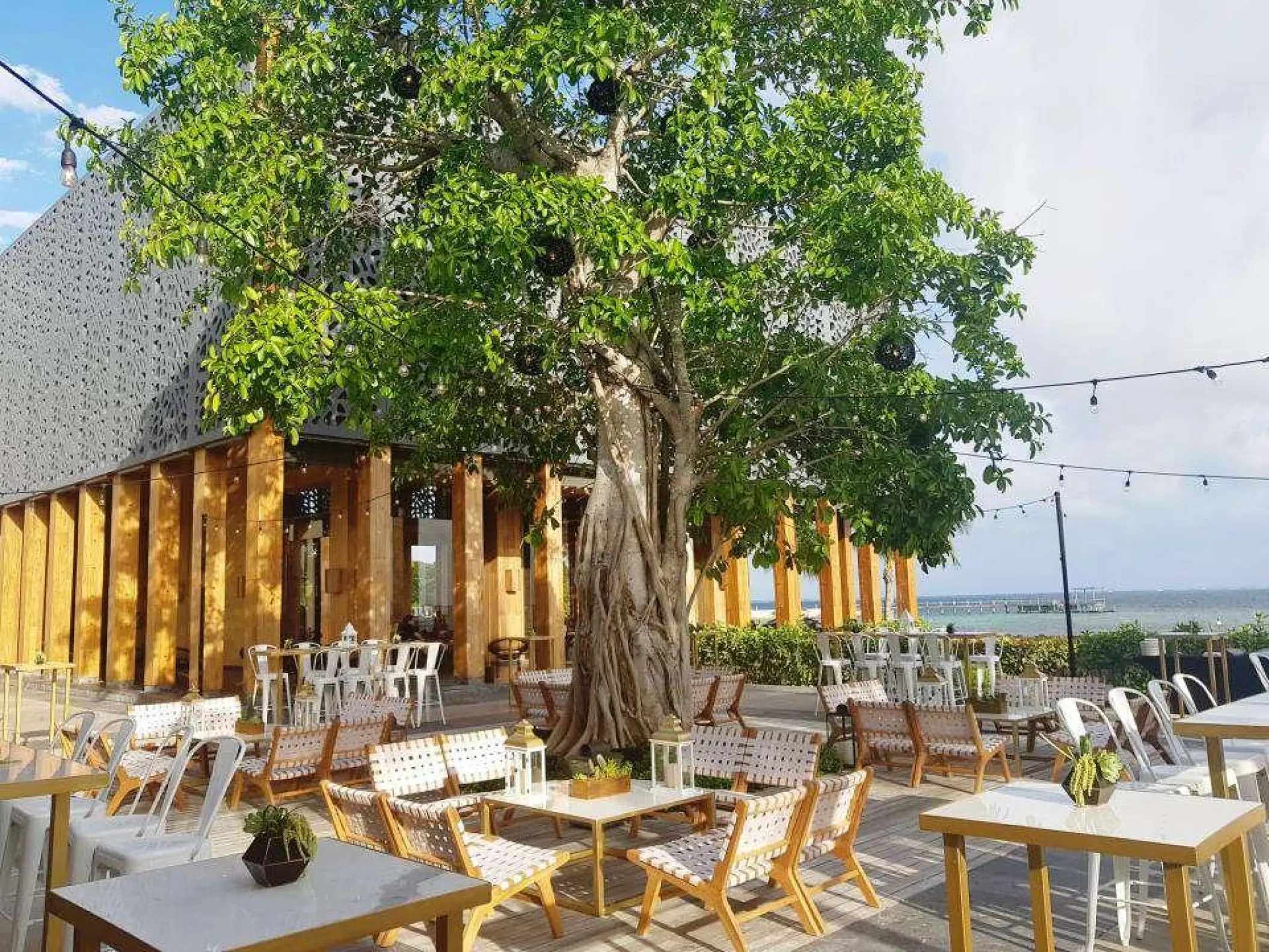 Akan Terrace reception venue under a large tree at Nizuc Resort, Cancun