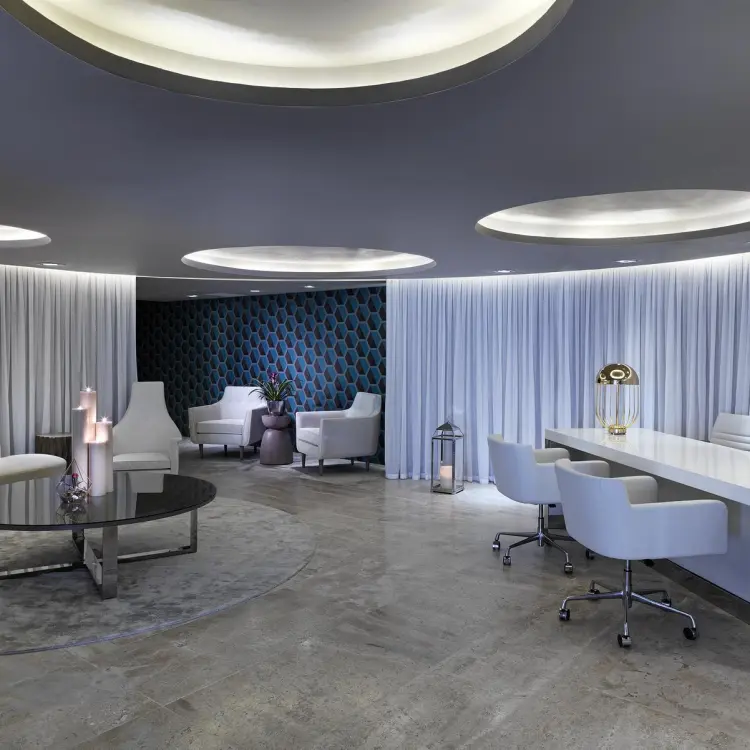 Modern spa reception area with white furniture and circular ceiling lights at Paradisus Los Cabos, Cabo San Lucas