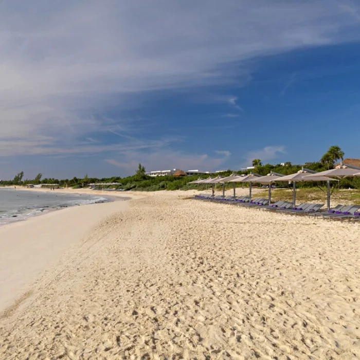 Paradisus La Perla beach with lounge chairs