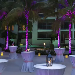 Evening wedding cocktail reception setup with purple-lit palm trees at Paradisus La Perla, Playa Del Carmen