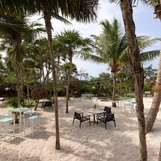 Outdoor seating area at Cocos Bar under palm trees at Paradisus Playa Del Carmen