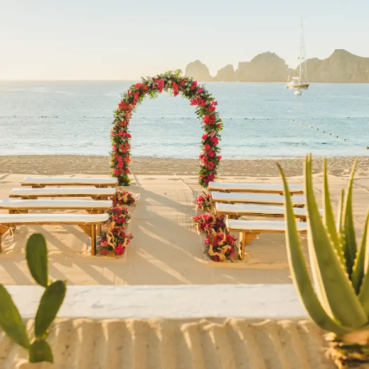 Beachfront wedding ceremony with floral arch and wooden benches at Pueblo Bonito Los Cabos, Cabo San Lucas