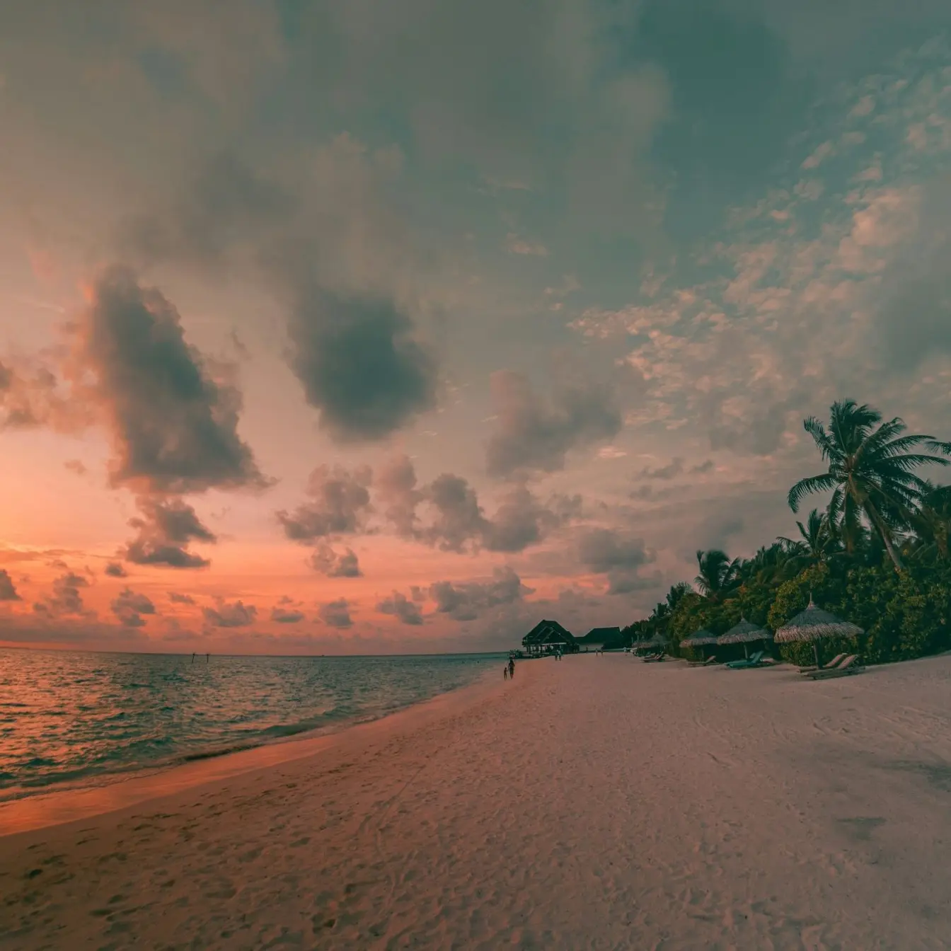 Sunset over the beach and palm trees in El Jobo, Costa Rica