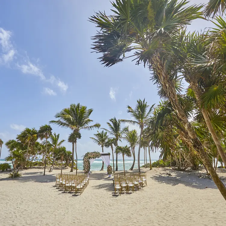 Beachfront wedding ceremony with a floral arch and gold chairs at Bahia Principe Akumal, Tulum