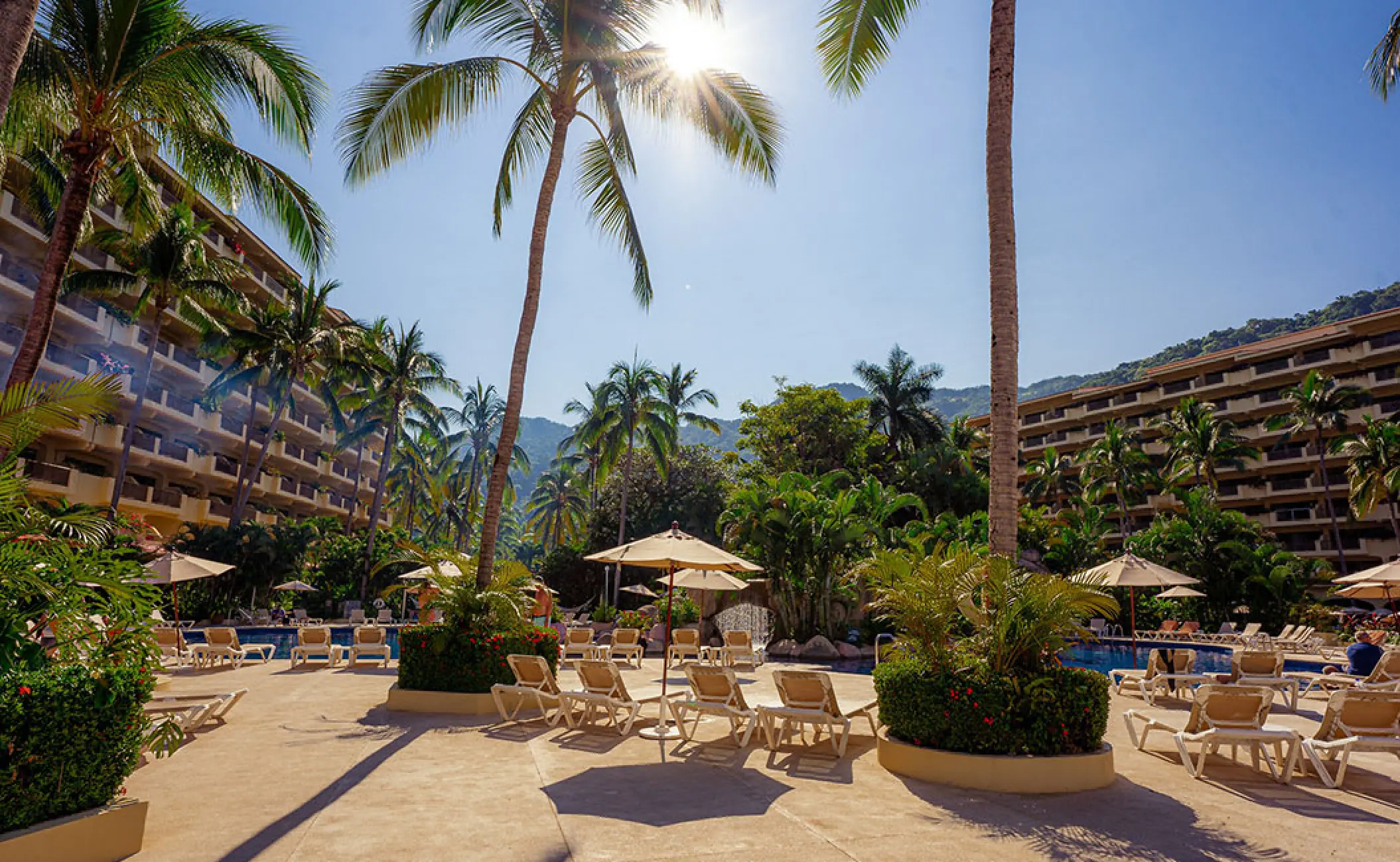 Tropical gardens and pool area with lounge chairs and palm trees at Barcelo Puerto Vallarta