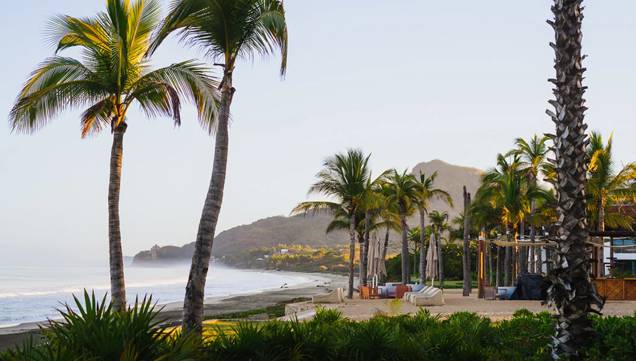 Palm trees lining the beachfront at Conrad Punta de Mita, Puerto Vallarta
