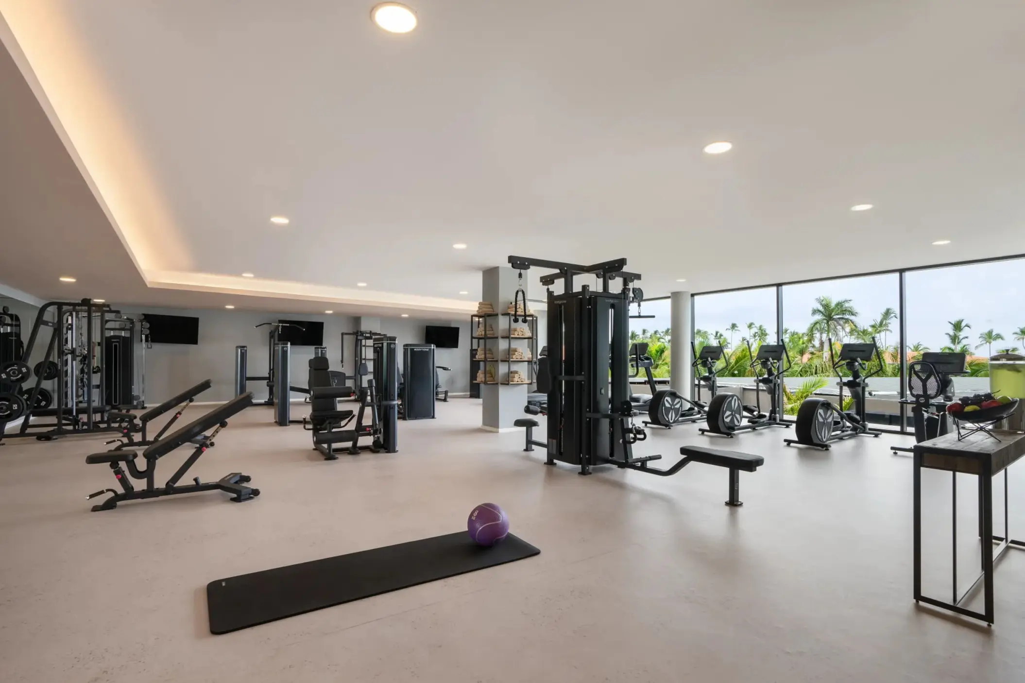 Modern fitness center with weight machines and floor-to-ceiling windows at Dreams Flora, Punta Cana