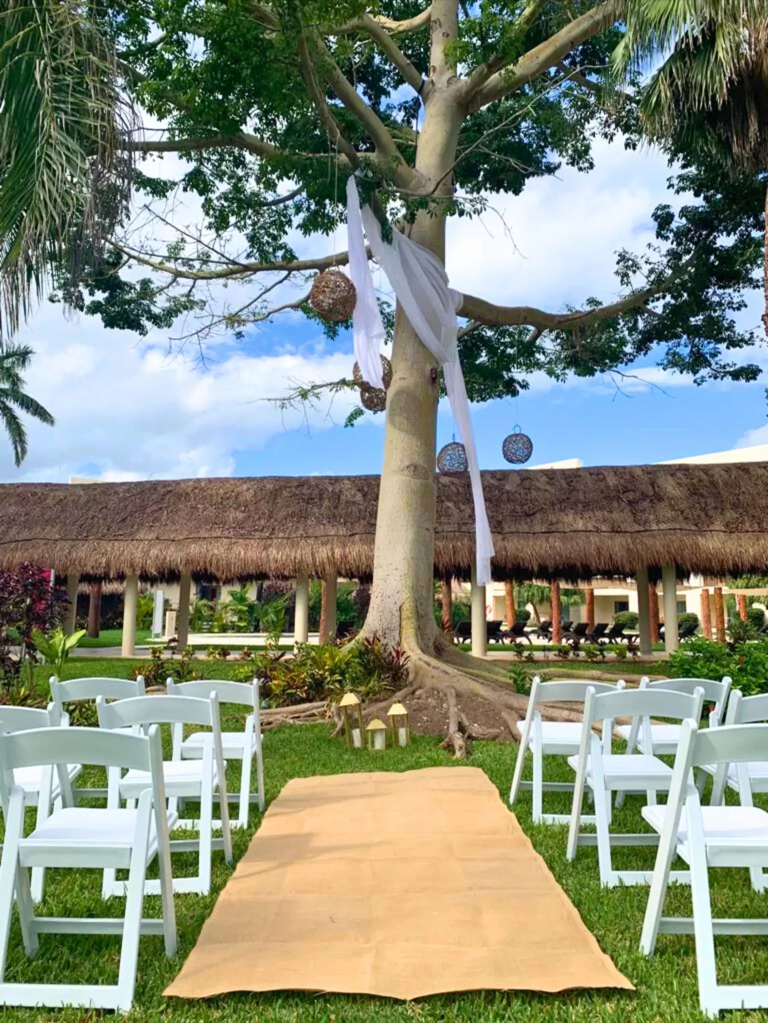 Ceiba tree wedding ceremony with white chairs and fabric draping at Dreams Puerto Morelos, Riviera Maya