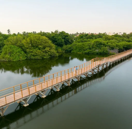bridge over the mangroves at Dreams Royal Beach Punta Cana