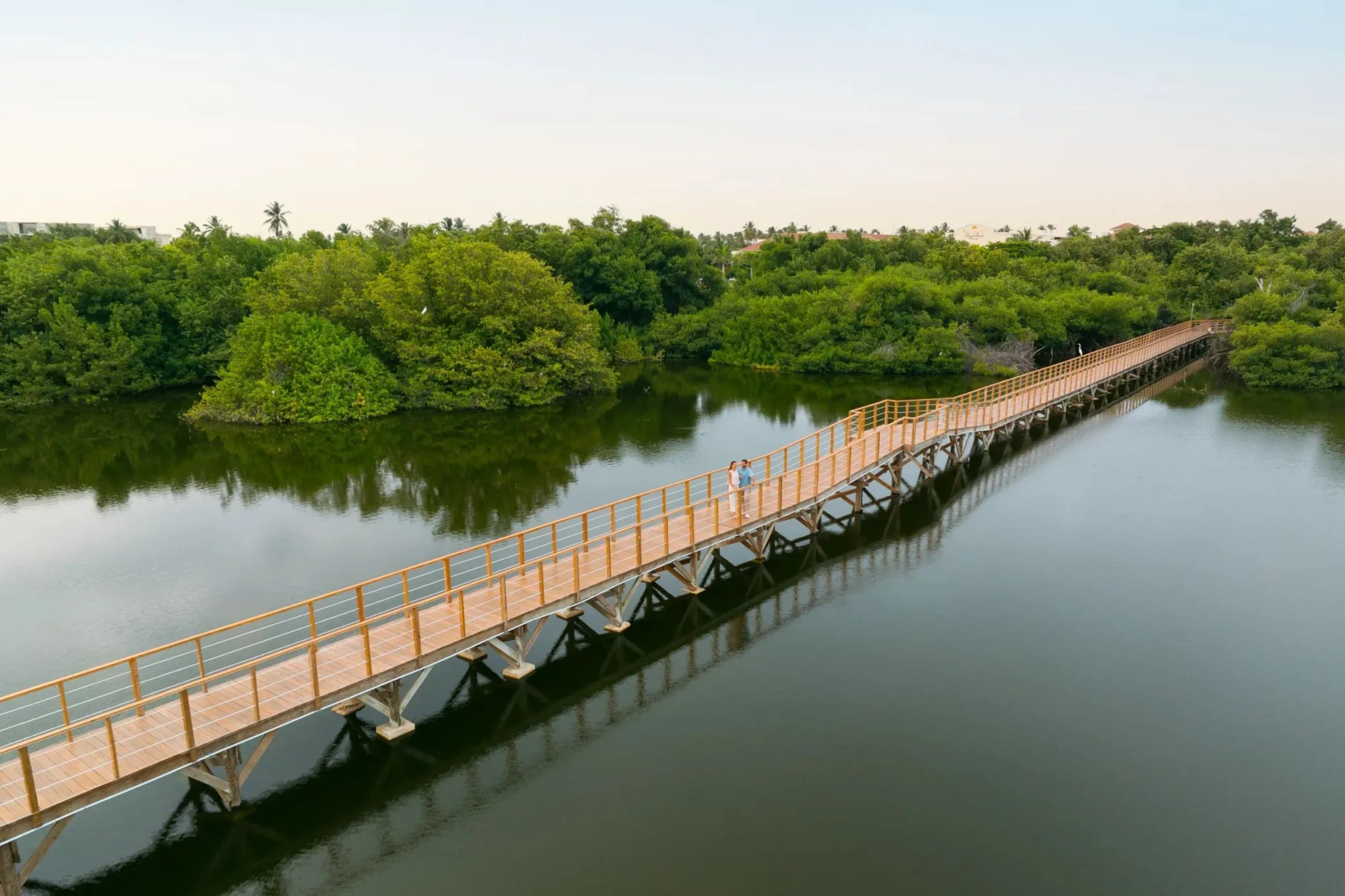 bridge over the mangroves at Dreams Royal Beach Punta Cana
