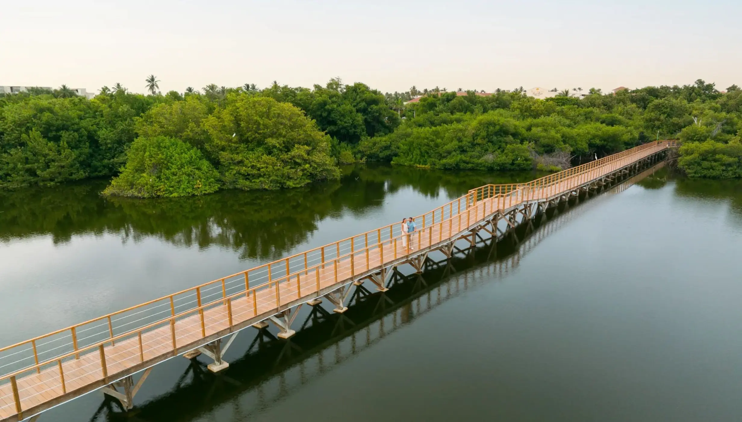 bridge over the mangroves at Dreams Royal Beach Punta Cana