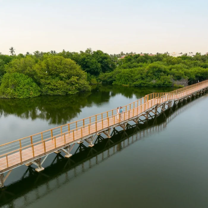 bridge over the mangroves at Dreams Royal Beach Punta Cana
