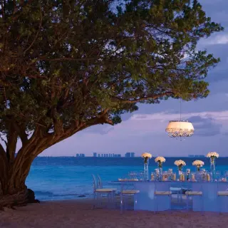 Private beach reception dinner under a large tree at Dreams Sands Cancun, Cancun