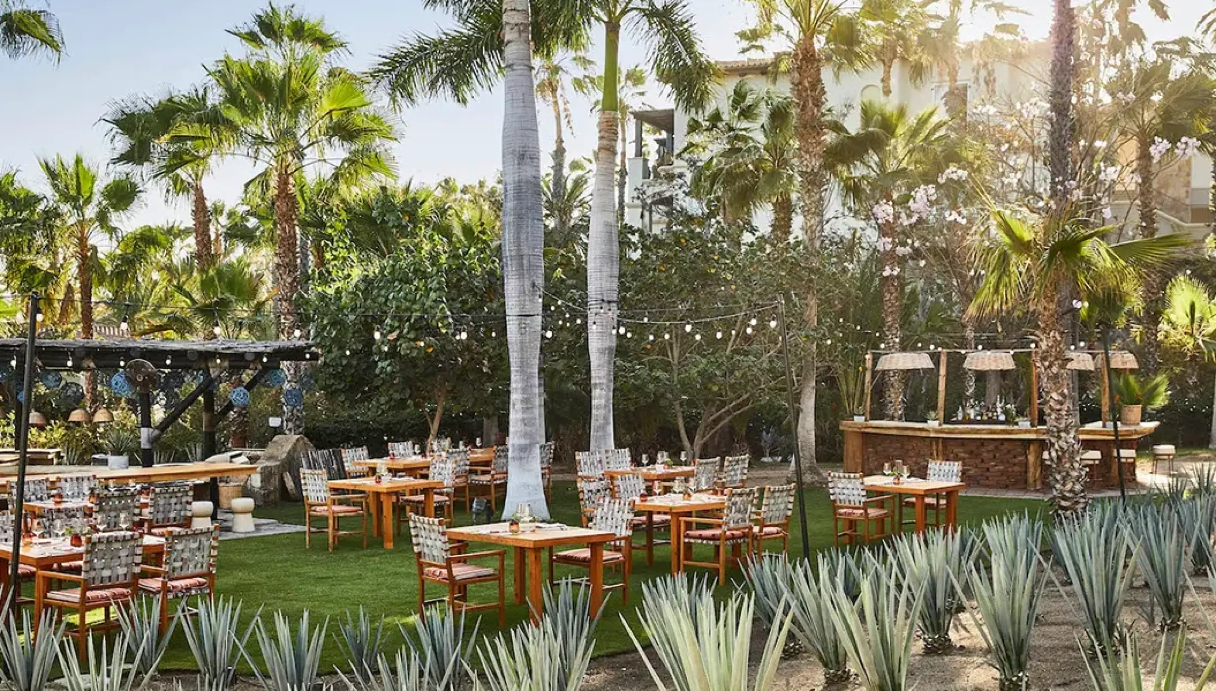Dinner reception on the agave garden at Esperanza Cabo San Lucas
