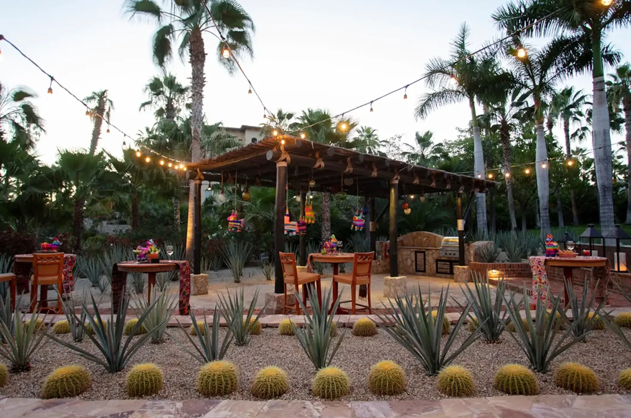 Agave Garden wedding reception with string lights and cacti at Esperanza Cabo San Lucas