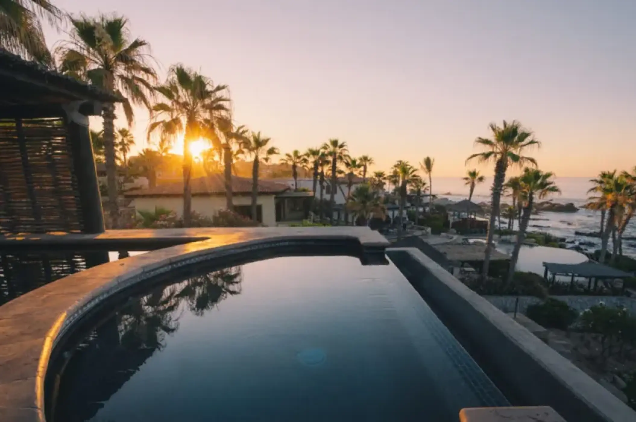 Esperanza Cabo San Lucas infinity pool overlooking palm trees and the ocean at sunset