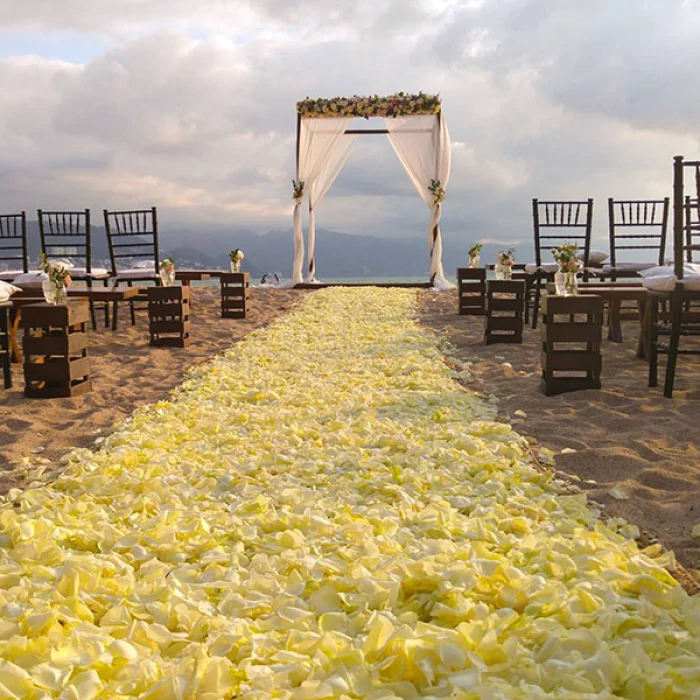 Beach Wedding Venue at Fiesta Americana Vallarta