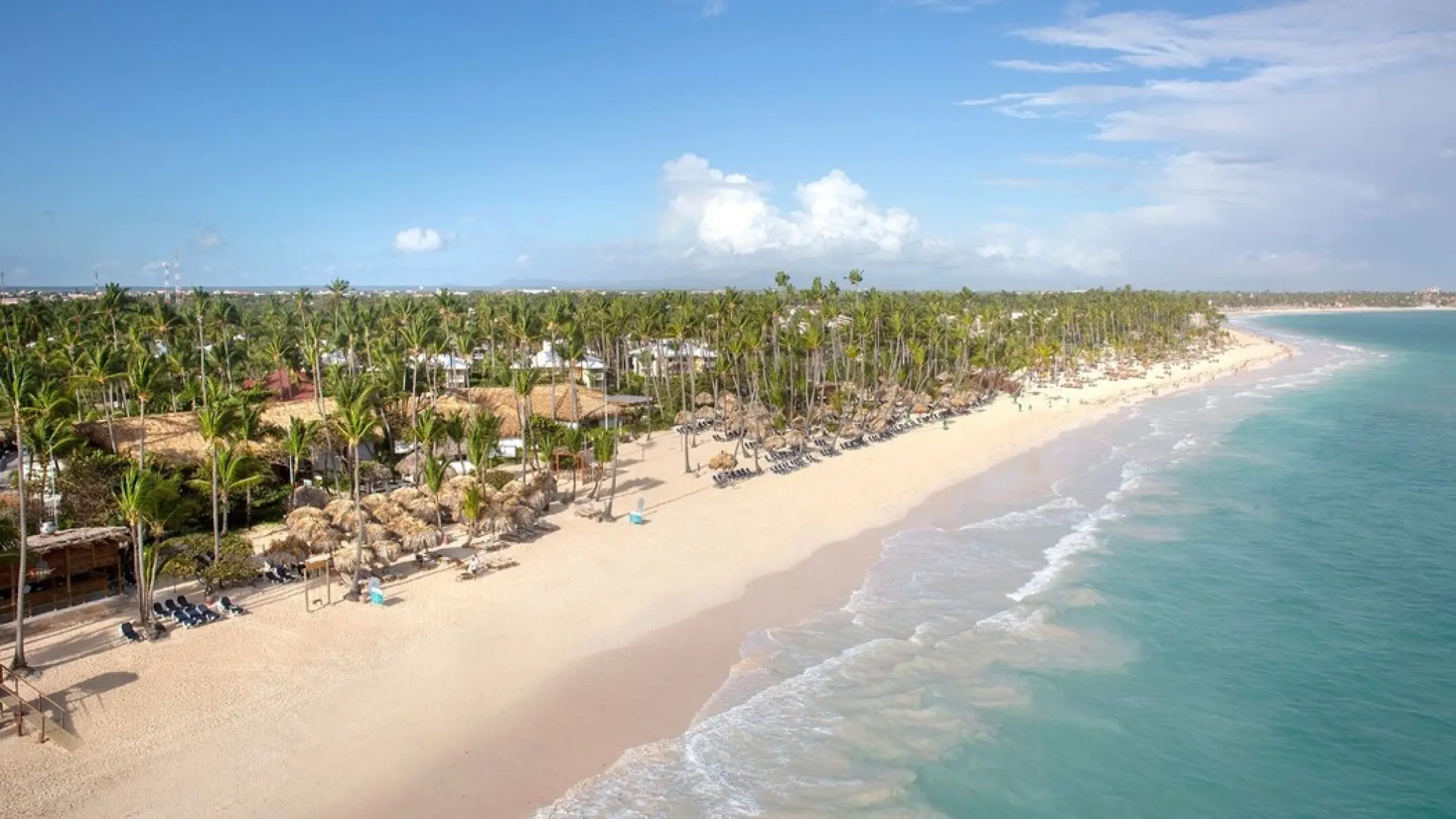 Aerial view of the palm-lined white sand beach at Grand Palladium Punta Cana, Punta Cana