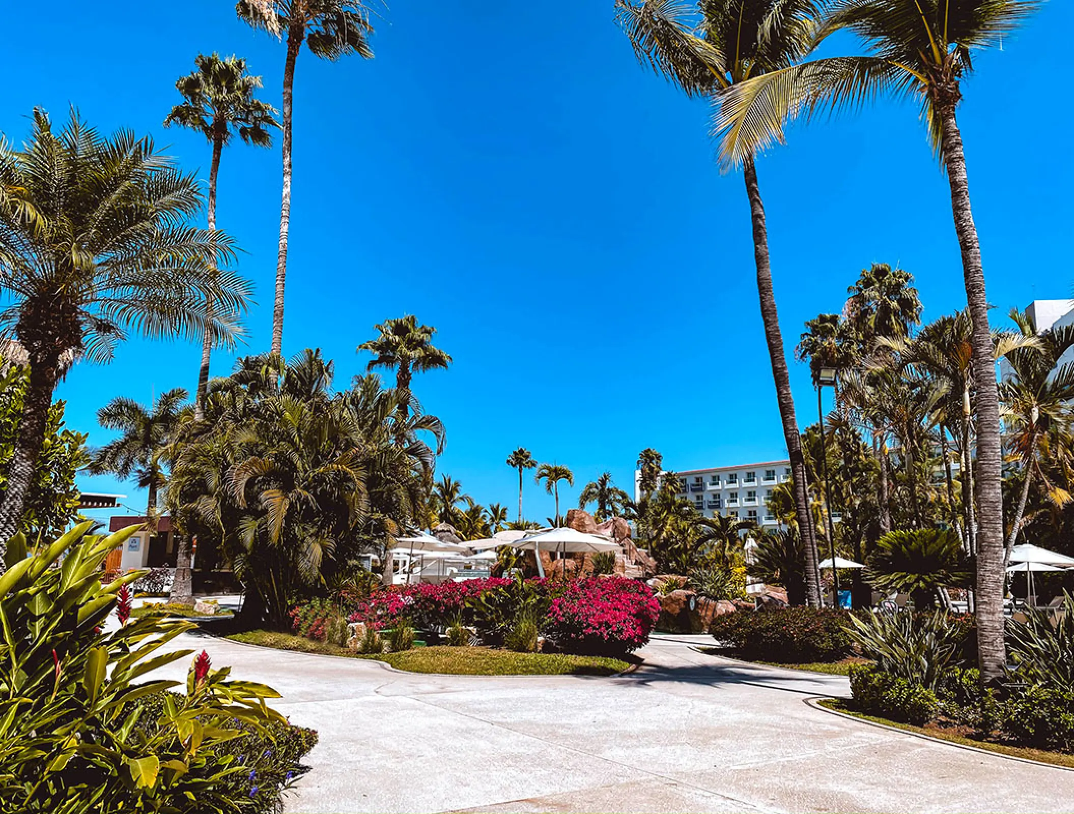 Tropical garden paths and palm trees at Hard Rock Hotel Vallarta, Puerto Vallarta