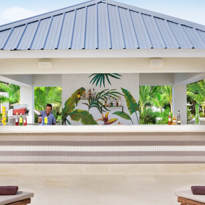 swim-up bar at Dreams La Romana