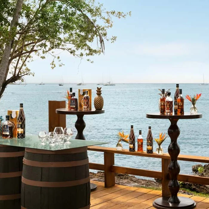 Cocktail party setup at Secrets La Romana