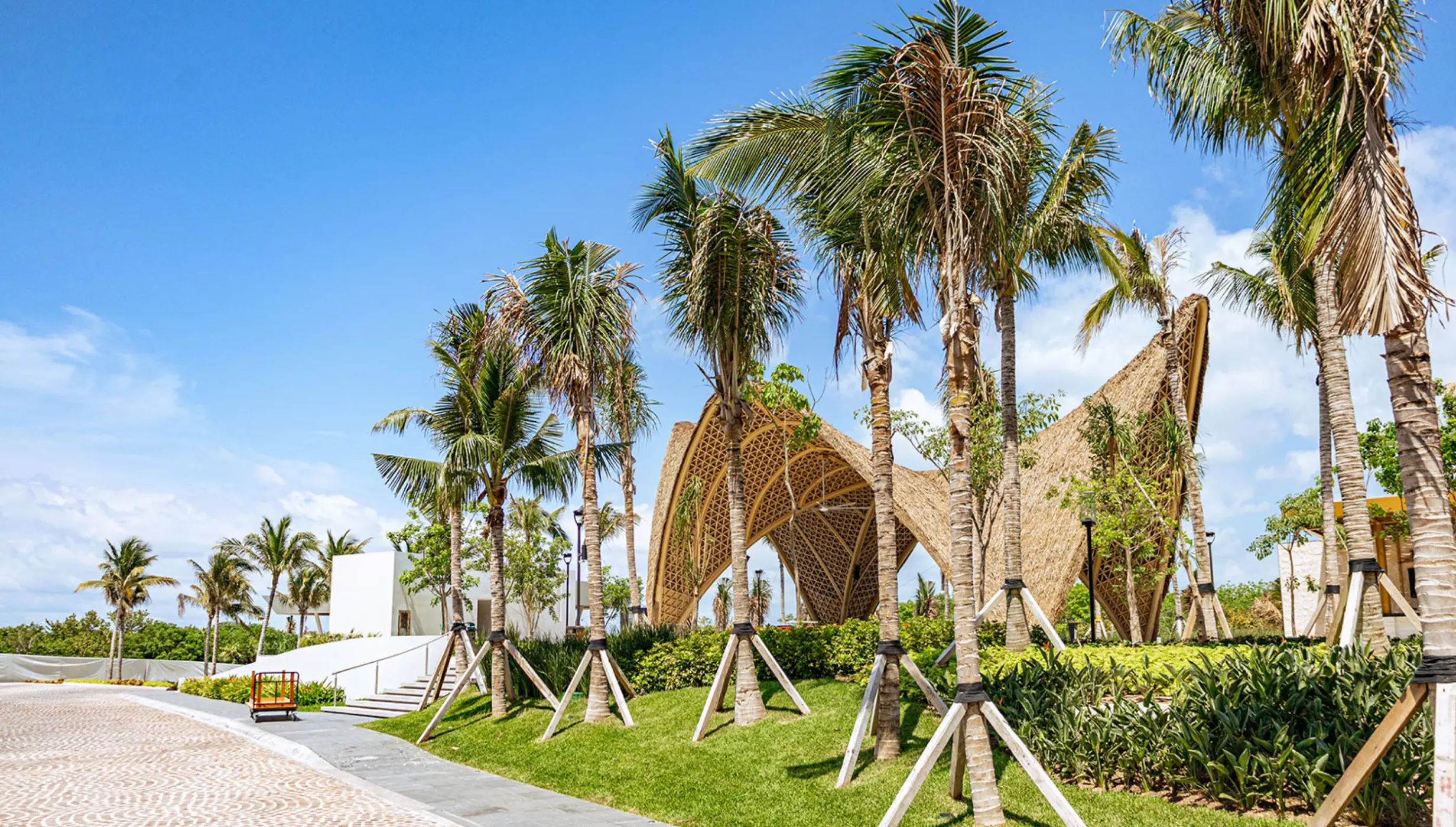 Tierra Luna wedding venue structure and palm trees at Hotel Mousai Cancun