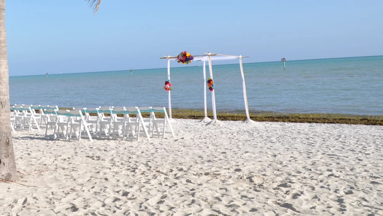 beach wedding setup at Riu Jamaica