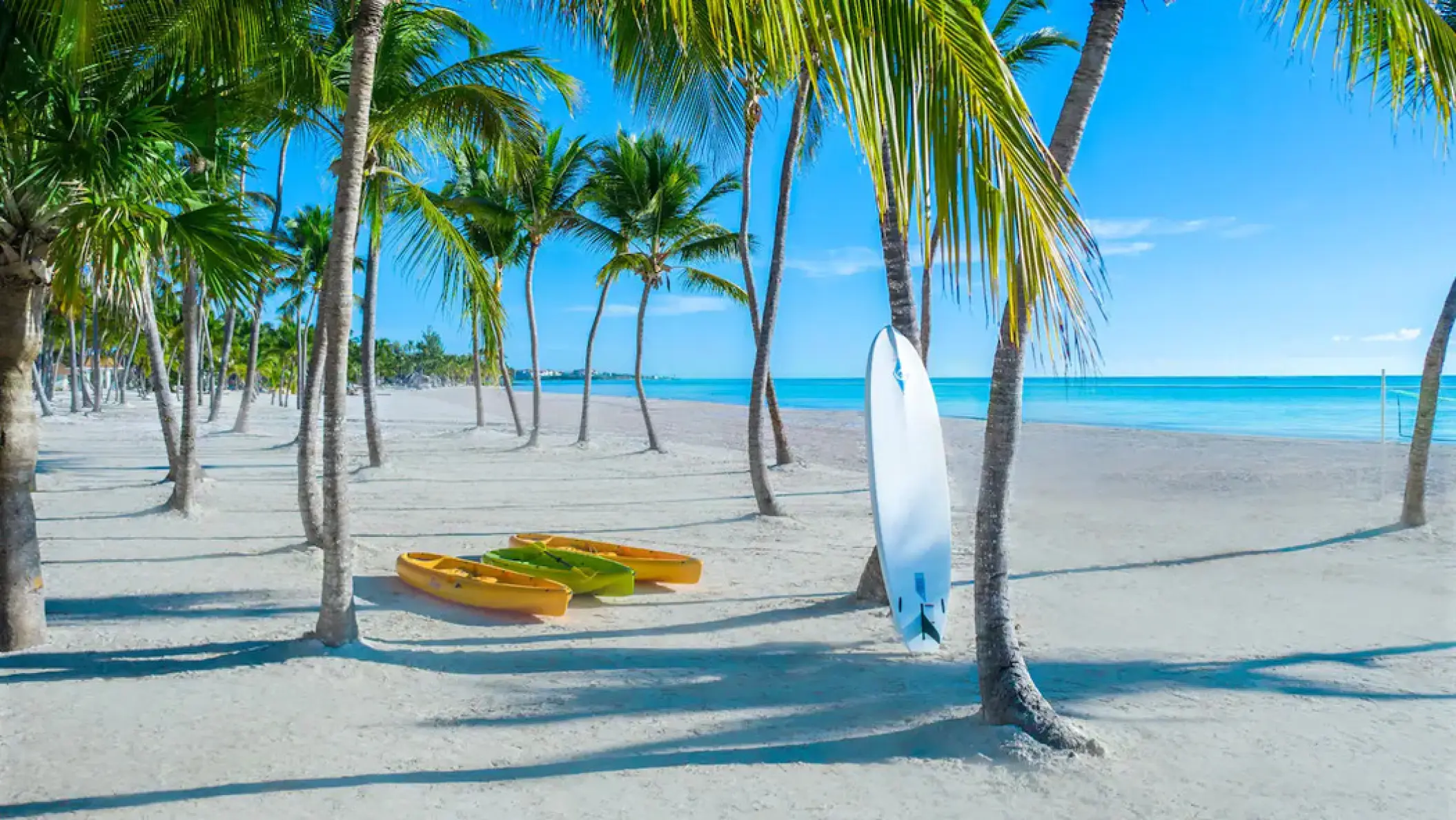 Kayaks and a surfboard under palm trees at Hyatt Zilara Cap Cana, Punta Cana