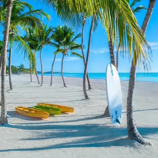 Kayaks and a surfboard under palm trees at Hyatt Zilara Cap Cana, Punta Cana