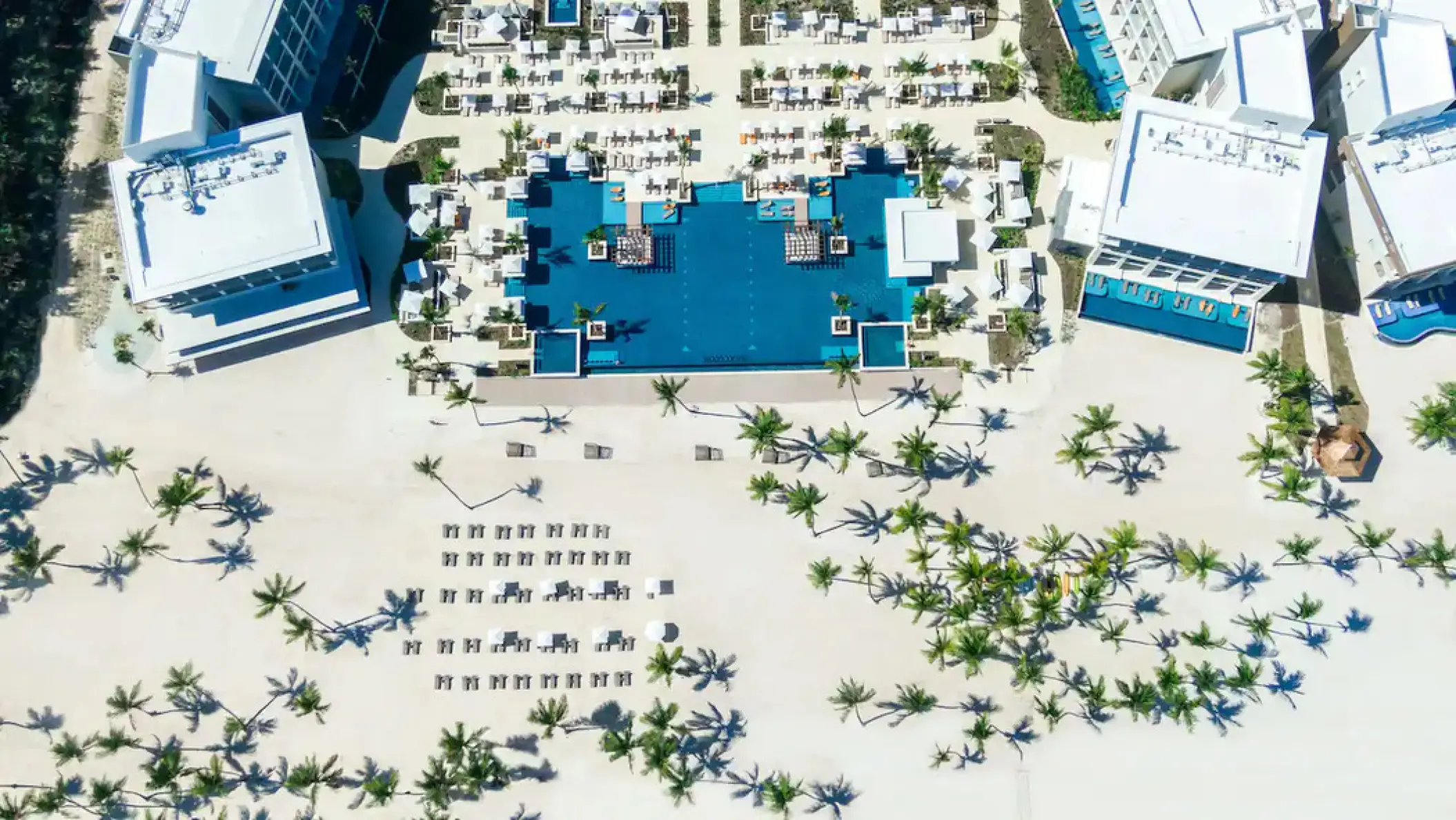 Aerial view of swimming pools and palm-fringed beachfront at Hyatt Zilara Cap Cana, Punta Cana