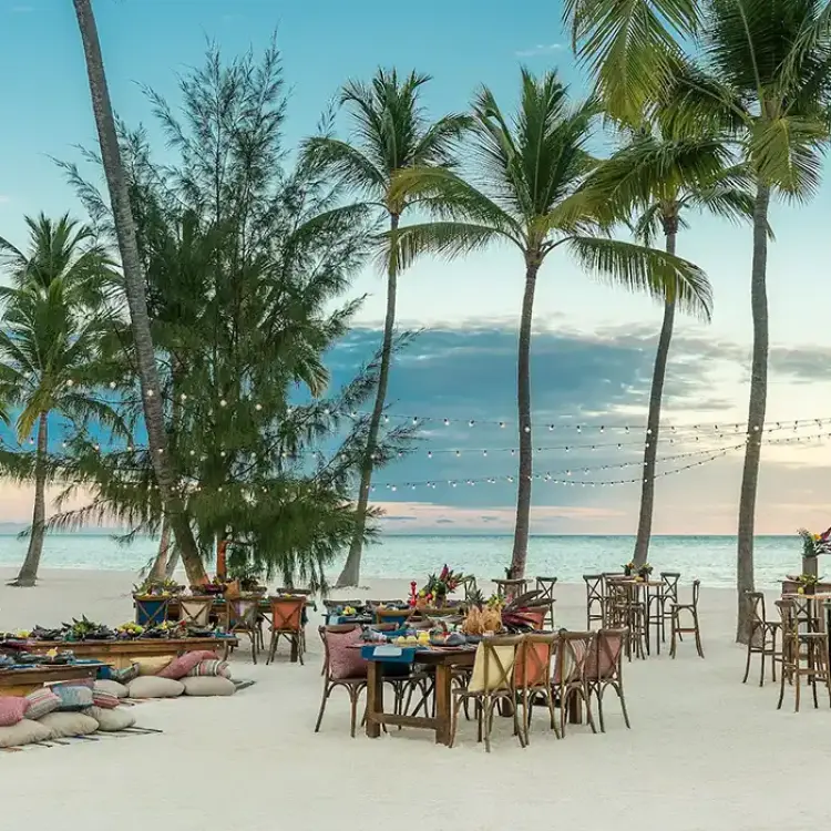Outdoor wedding reception setup with wooden tables and palm trees at Hyatt Zilara Riviera Maya, Riviera Maya