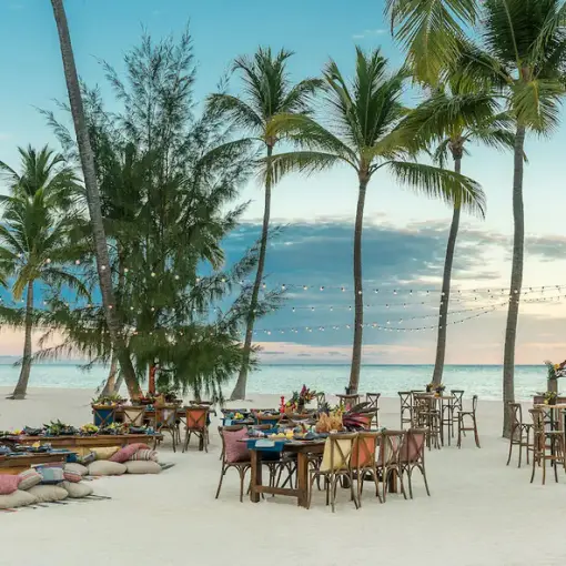 Beachfront wedding reception setup with string lights and palm trees at Hyatt Ziva Cap Cana, Punta Cana