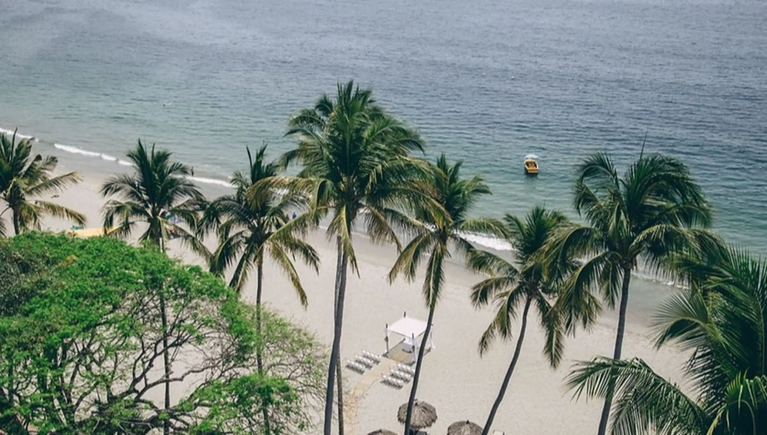 Aerial view of the palm-fringed beach and ceremony gazebo at Hyatt Ziva Puerto Vallarta