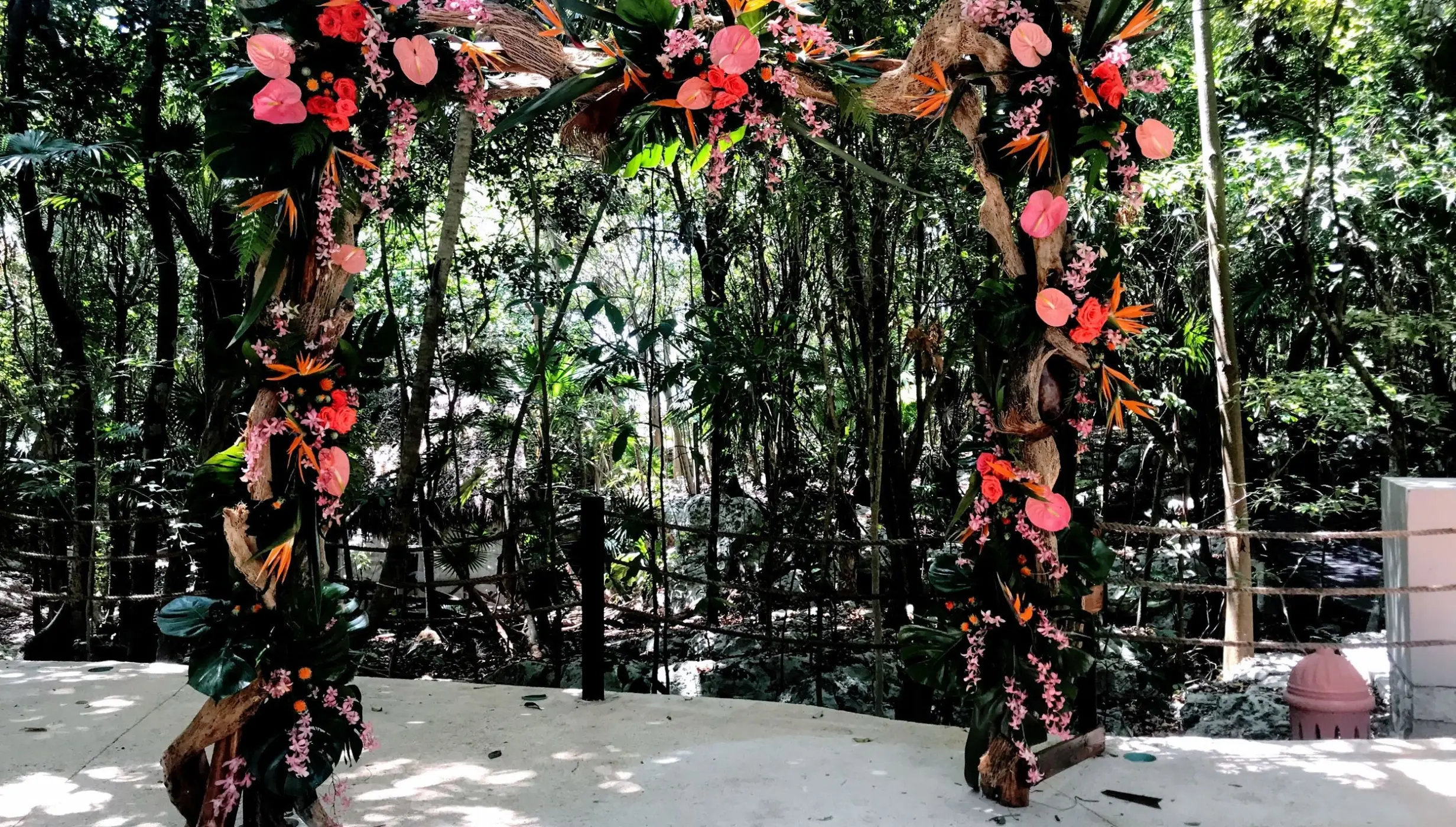 Jungle venue shared between Iberostar Waves Tucan and Quetzal