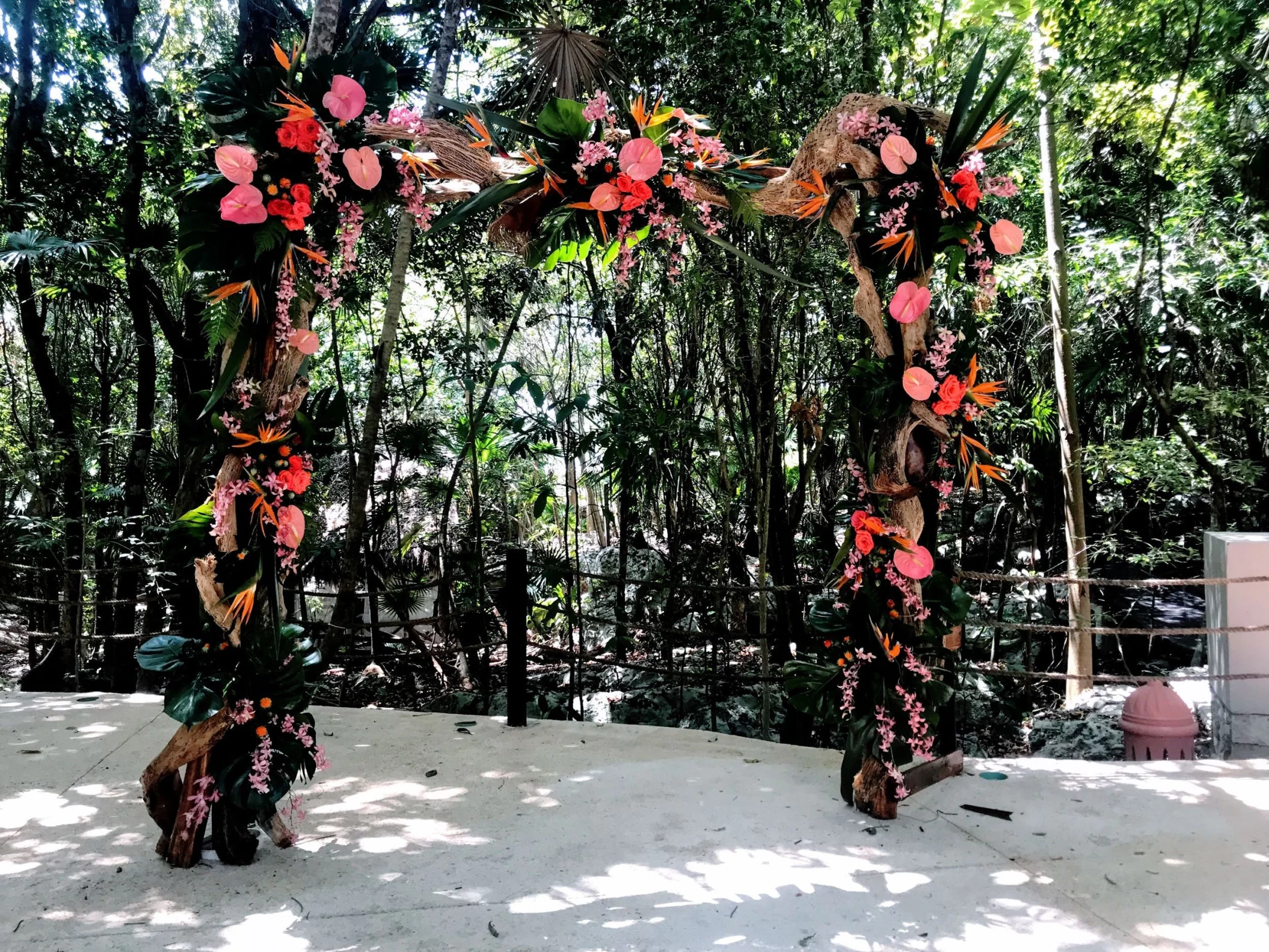 Jungle venue shared between Iberostar Waves Tucan and Quetzal