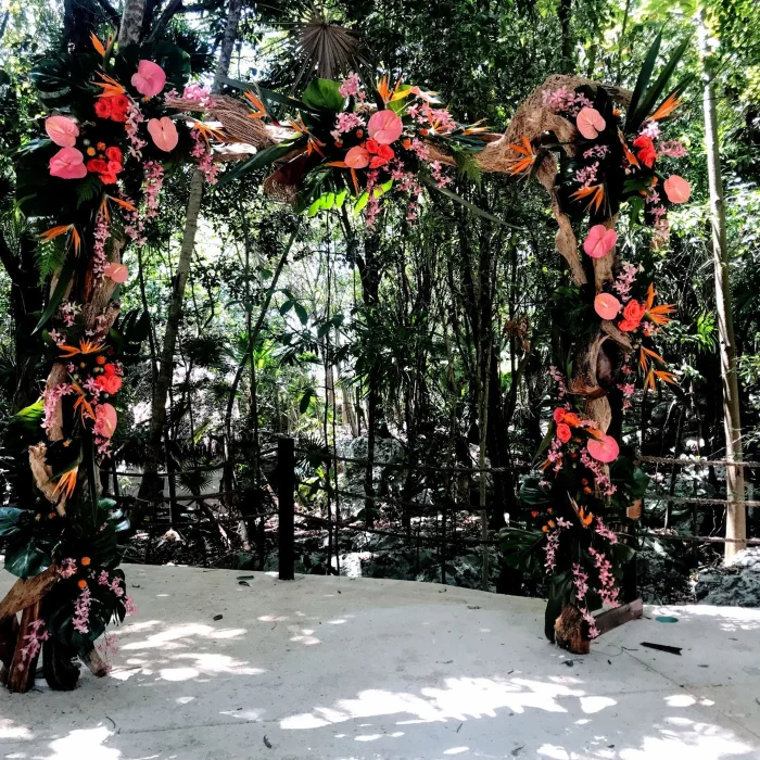 Jungle venue shared between Iberostar Waves Tucan and Quetzal
